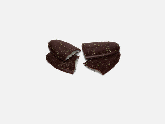 Langues de chat menthe chocolat noir