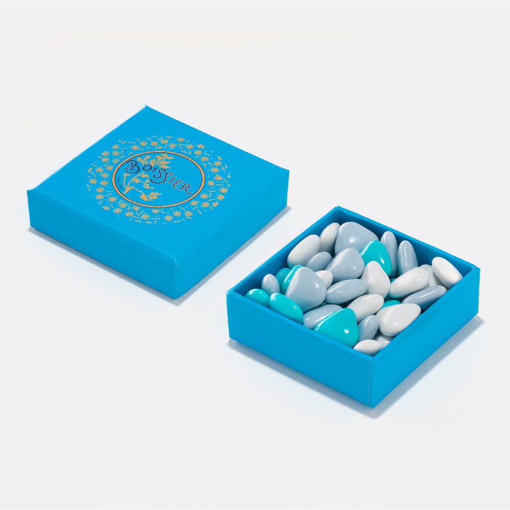 
                  
                    Dragées au chocolat en forme de cœur bleues et blanches dans boîte bijoux de 50g
                  
                